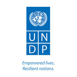 partners_undp